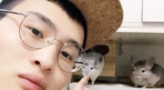 抖音网红吃瓜热门事件,揭秘网络热点背后的真相与争议