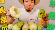 网红套餐吃瓜
